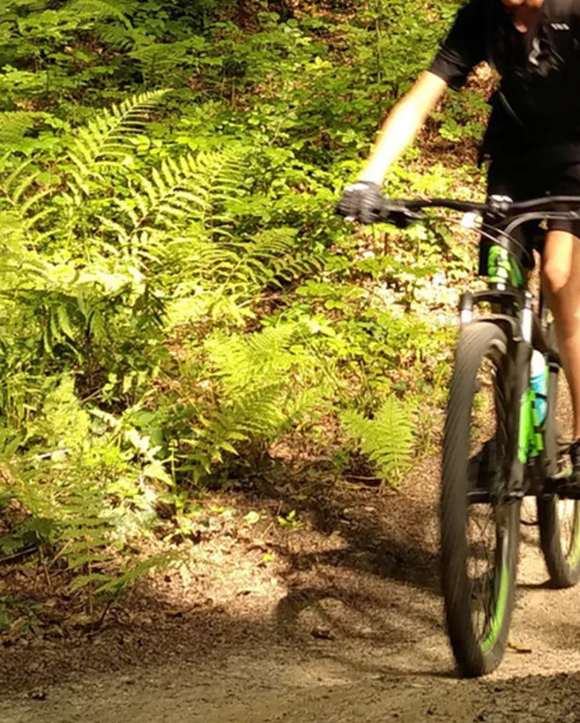 Afin de faciliter le bien-être de tous les promeneurs, l'Office National des Forêts (ONF) a mis en place une charte des activités en foret de Fontainebleau. Si vous souhaitez découvrir le foret de Fontainebleau en VTT, 1100 km de pistes forestières, dont de nombreux itinéraires déjà tracés avec des allées larges de 2,50m vous sont accessibles.