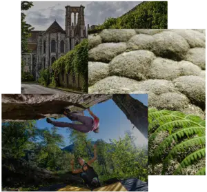 renting vacations near Fontainebleau and the Dame Jouanne forest