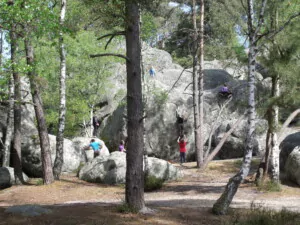 Escalade à la Dame Jouanne en forêt de Fontainebleau