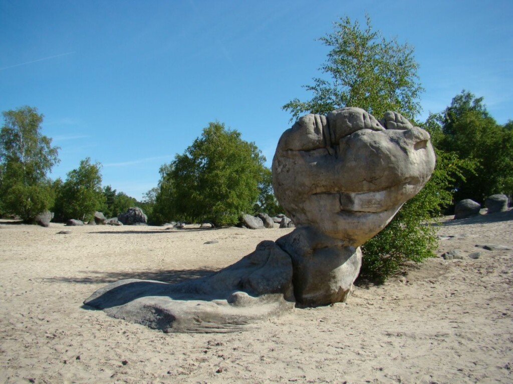 Le massif des trois Pignons: une forêt et une nature inoubliables