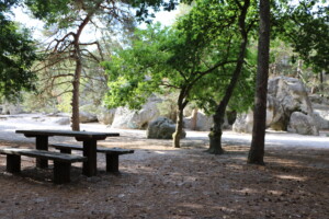 Séjour nature aux portes de la forêt de Fontainebleau