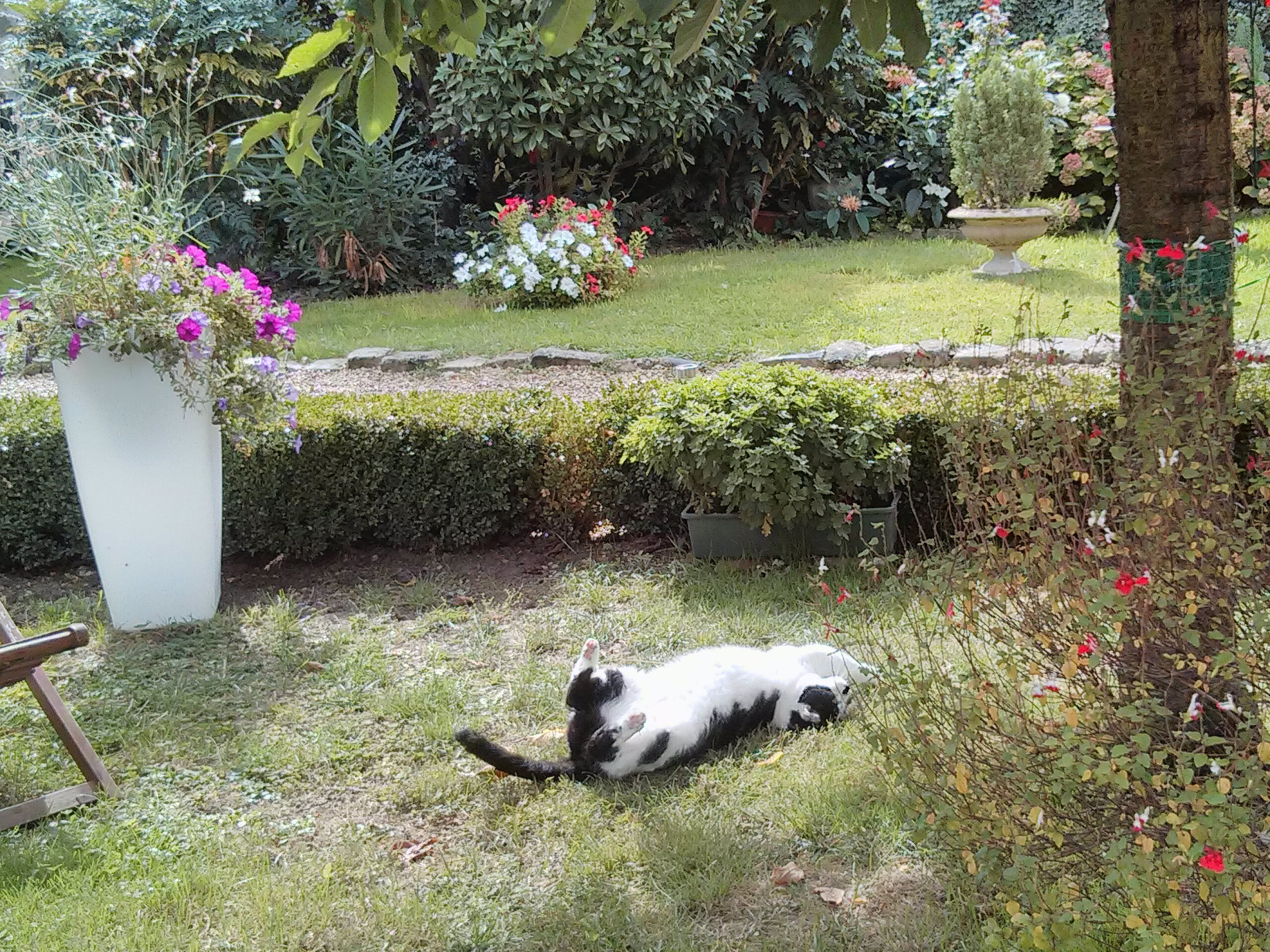 Refuge nature en...</p srcset=