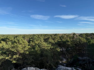 Escalade sur bloc en forêt de Fontainebleau près de la Dame Jouanne