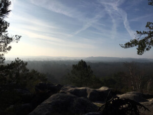 Maunoury – Quiet Gems in the Forest. 