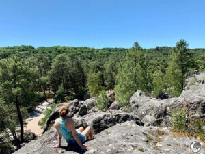 Paysage naturel de la forêt de Fontainebleau