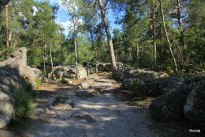 Apremont (Short Drive from Larchant). The 5 Best Bouldering Sectors Around Larchant