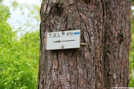 Tour du golfe de Larchant