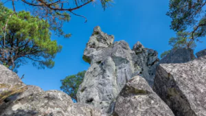 the rock of...</p srcset=